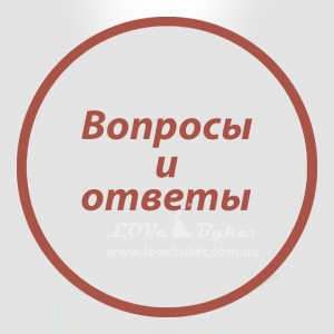 Питання та відповіді